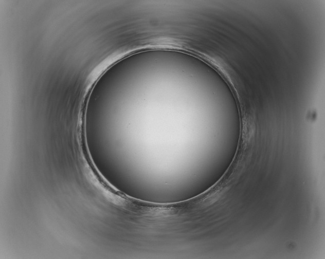 X0000112841387200908211231