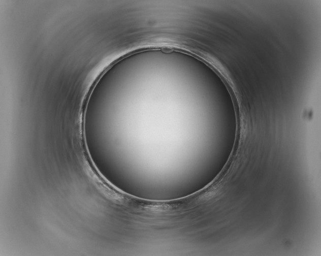 X0000112841388200908211231