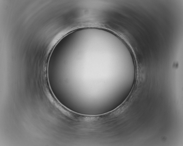 X0000112841389200908211231