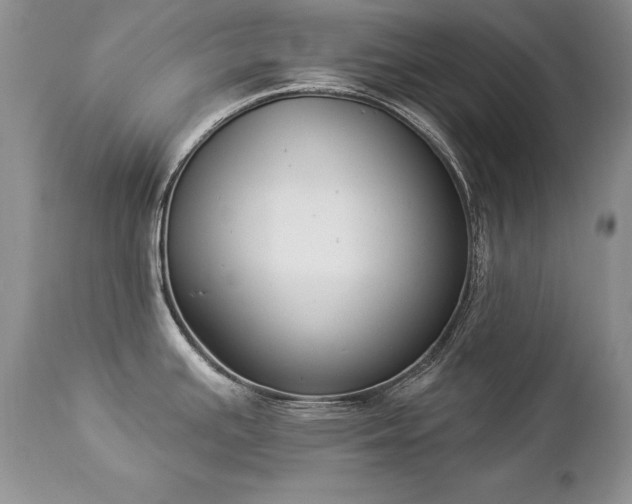 X0000112841391200908211231