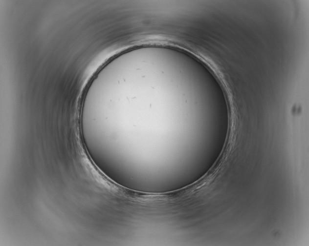 X0000112841392200908211231