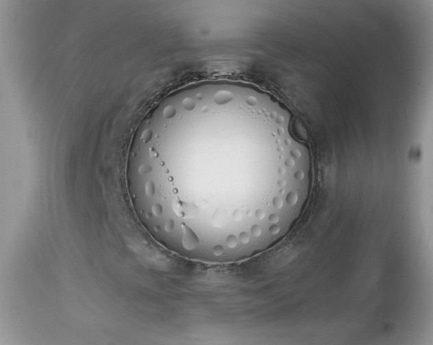 X0000112841393200908211230