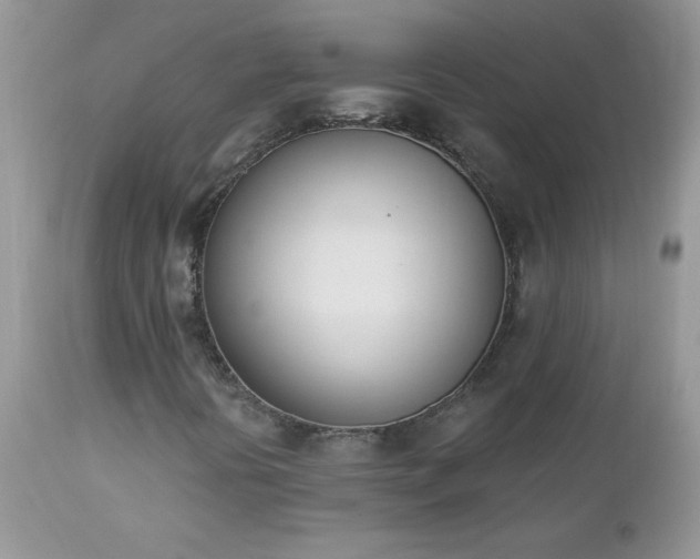 X0000112841394200908211230