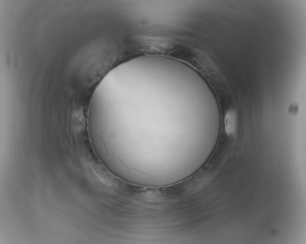 X0000112841395200908211230