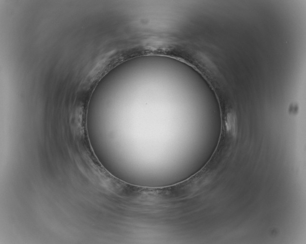 X0000112841396200908211230