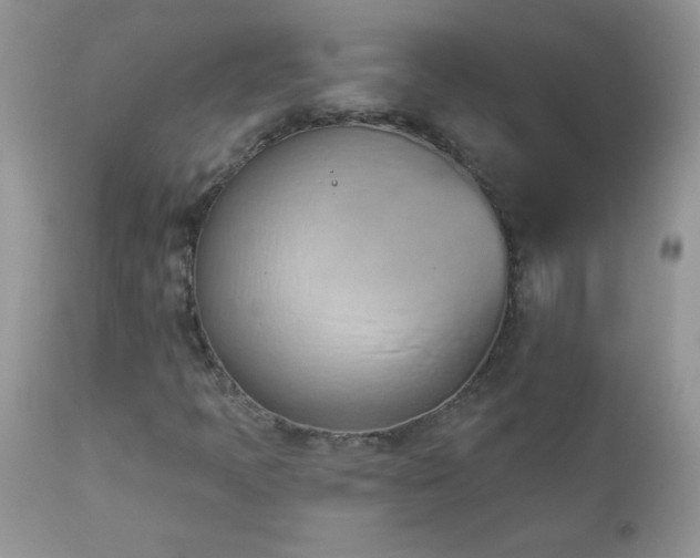 X0000112841397200908211230