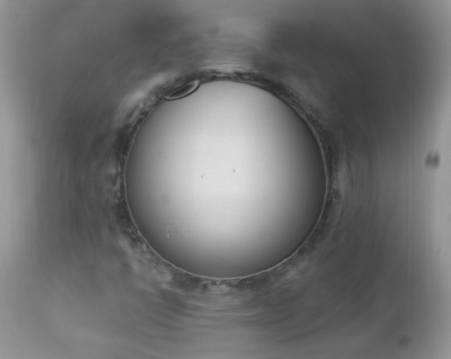 X0000112841398200908211230