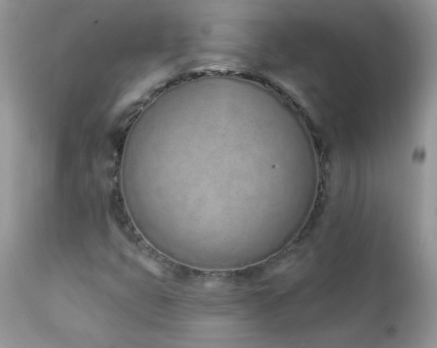 X0000112841399200908211230