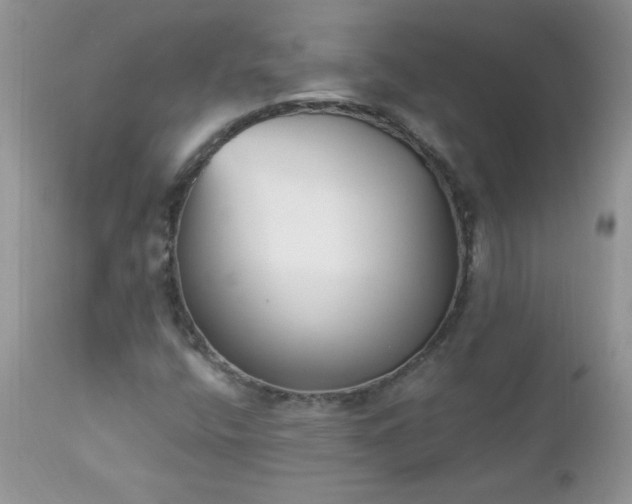 X0000112841400200908211230