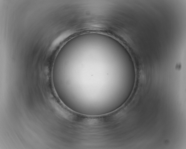 X0000112841402200908211230