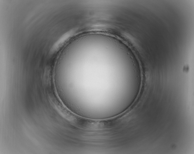 X0000112841403200908211230