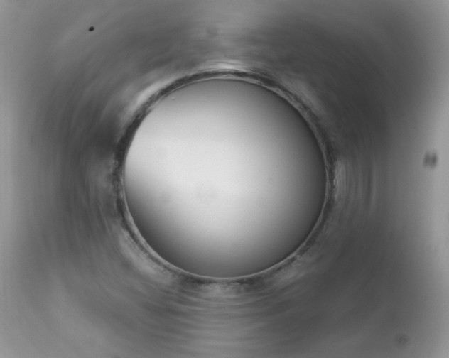 X0000112841404200908211230