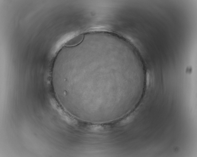 X0000112841405200908211230