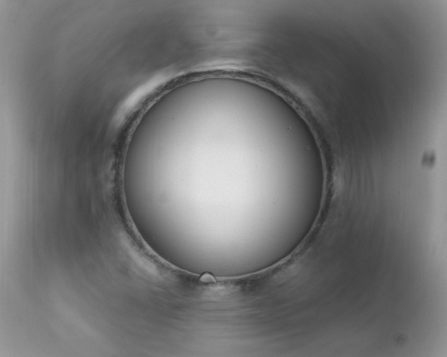 X0000112841406200908211230