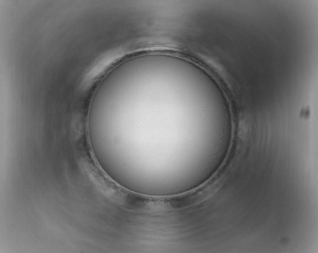 X0000112841407200908211230