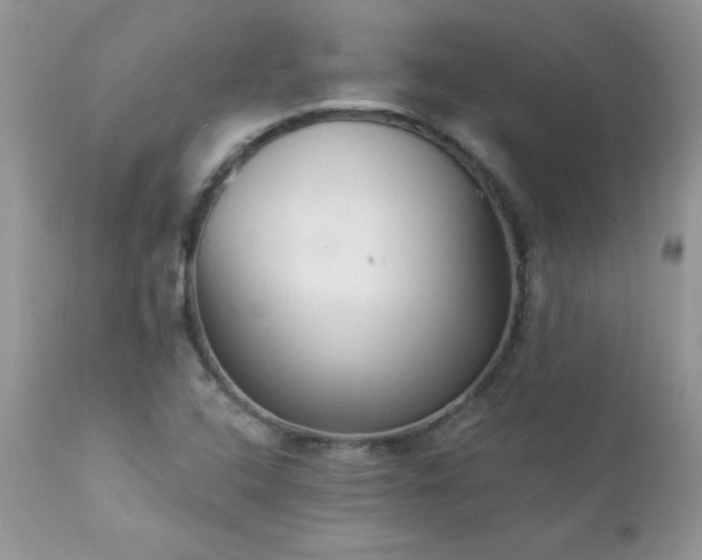 X0000112841408200908211230