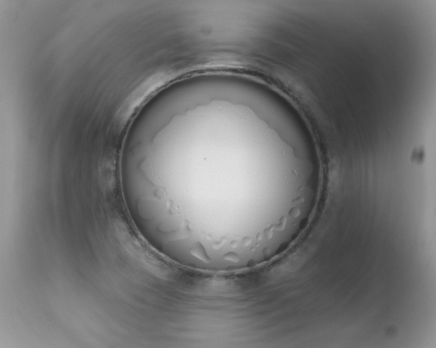 X0000112841409200908211230