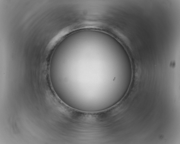 X0000112841411200908211230