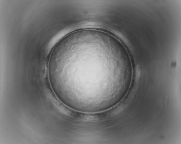 X0000112841413200908211230