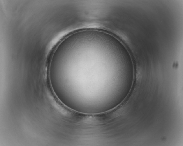 X0000112841414200908211230