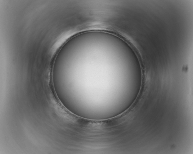 X0000112841415200908211230