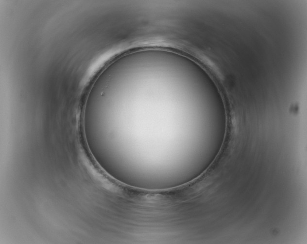 X0000112841416200908211230