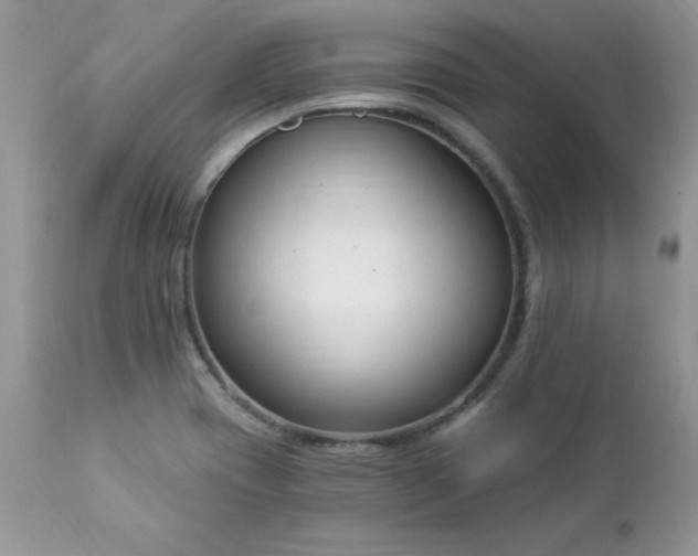 X0000112841417200908211230