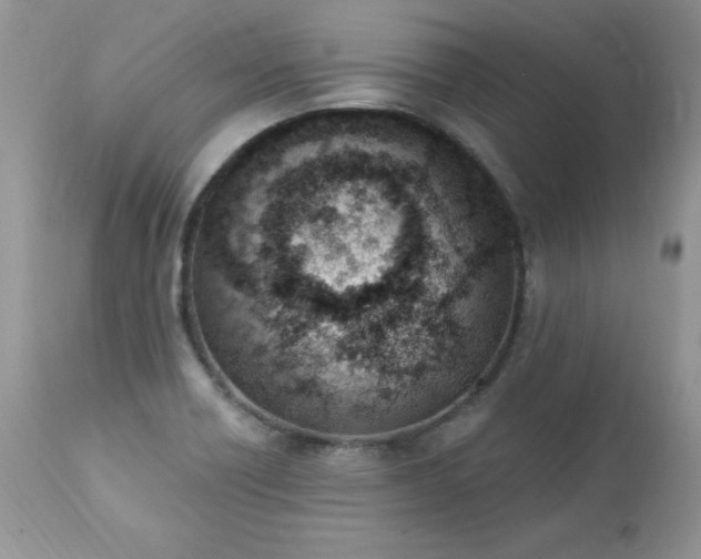 X0000112841418200908211230