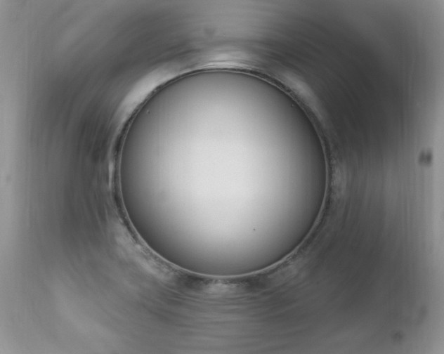 X0000112841419200908211230