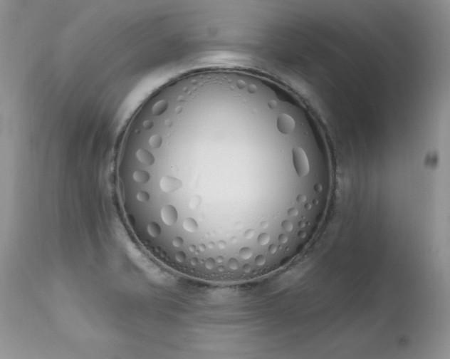 X0000112841421200908211230