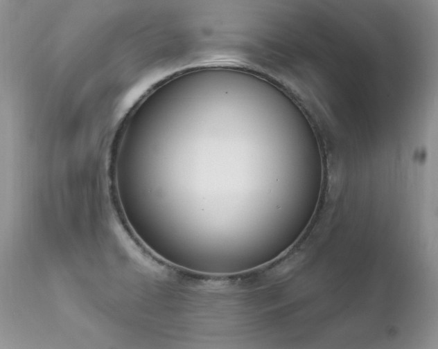 X0000112841422200908211230