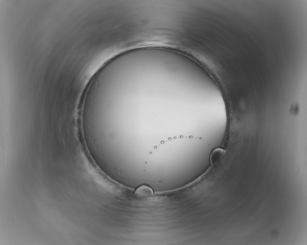 X0000112841423200908211230