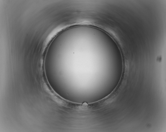 X0000112841424200908211230