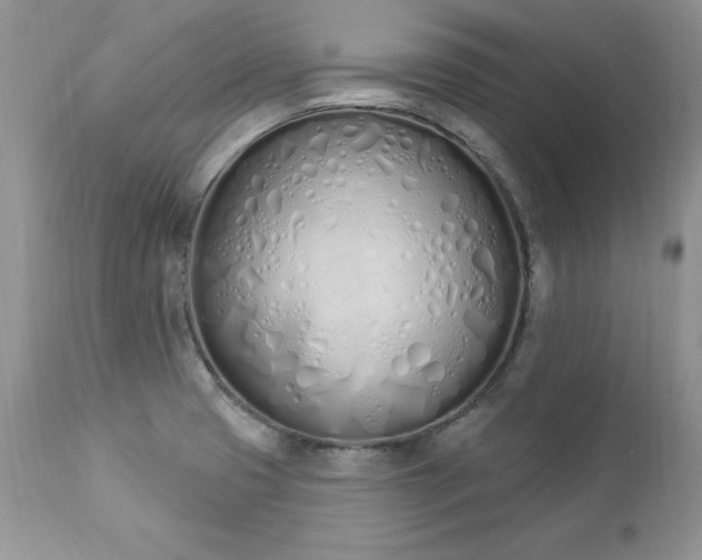 X0000112841425200908211230