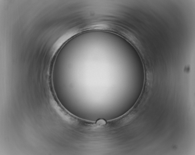 X0000112841426200908211230