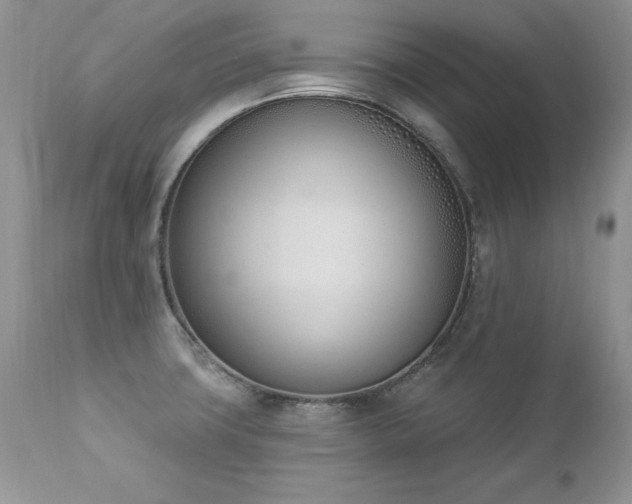 X0000112841427200908211230