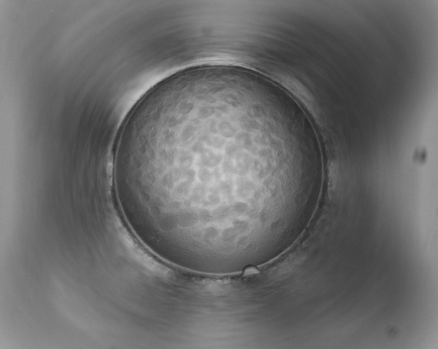 X0000112841428200908211230