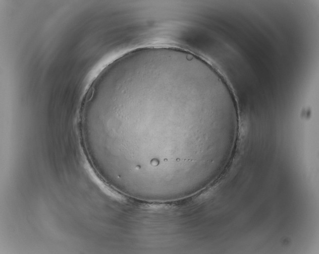 X0000112841429200908211230