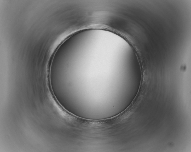 X0000112841430200908211230