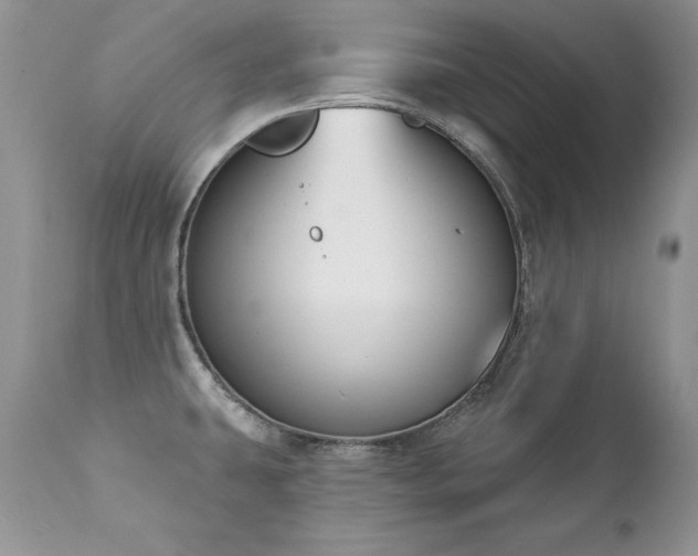 X0000112841431200908211230