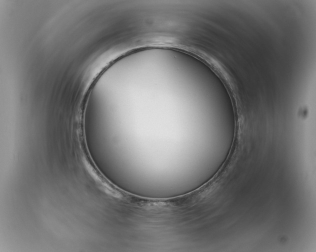 X0000112841432200908211230