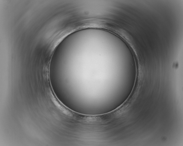 X0000112841433200908211231