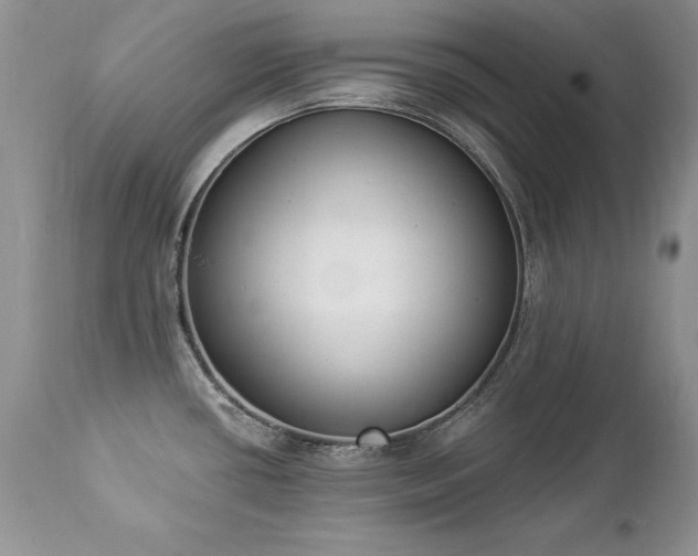 X0000112841434200908211231