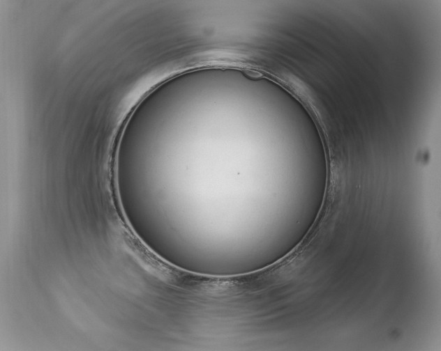 X0000112841435200908211231