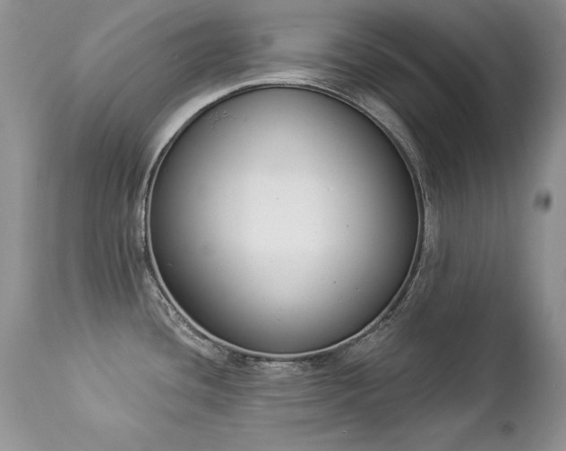 X0000112841436200908211231