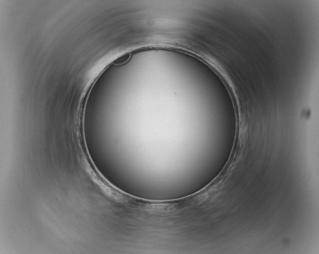 X0000112841437200908211231