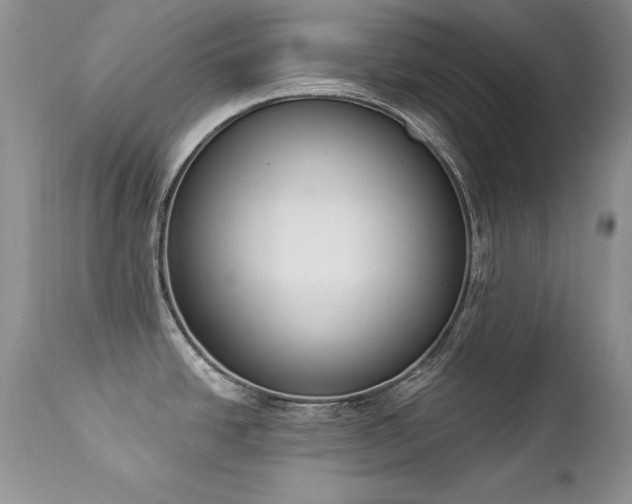 X0000112841438200908211231