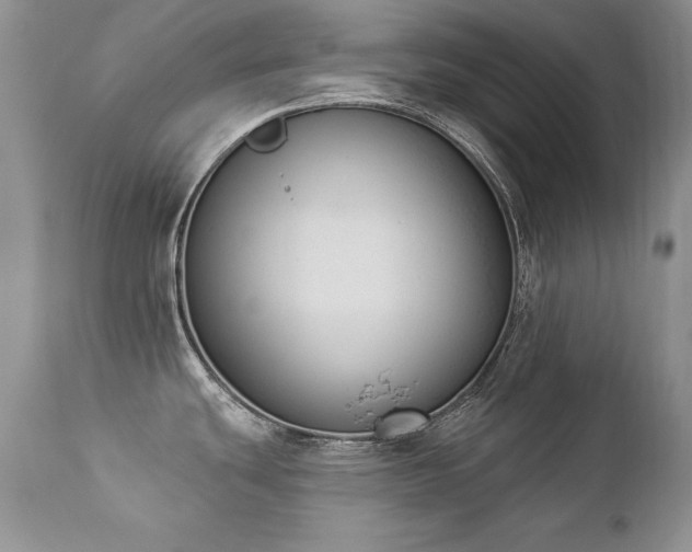 X0000112841439200908211231