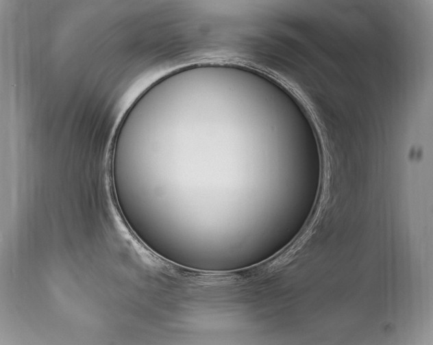 X0000112841440200908211231