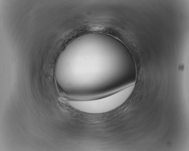 X0000112841441200908211230